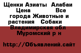 Щенки Азиаты (Алабаи) › Цена ­ 20 000 - Все города Животные и растения » Собаки   . Владимирская обл.,Муромский р-н